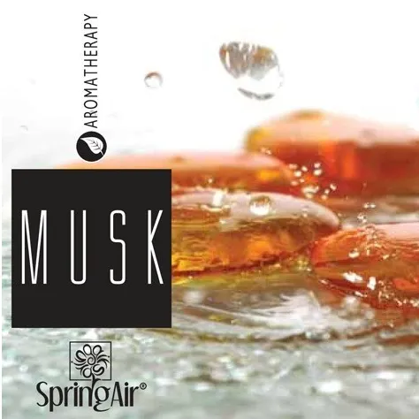 ROIN_napln-do-osviezovaca-springair-musk